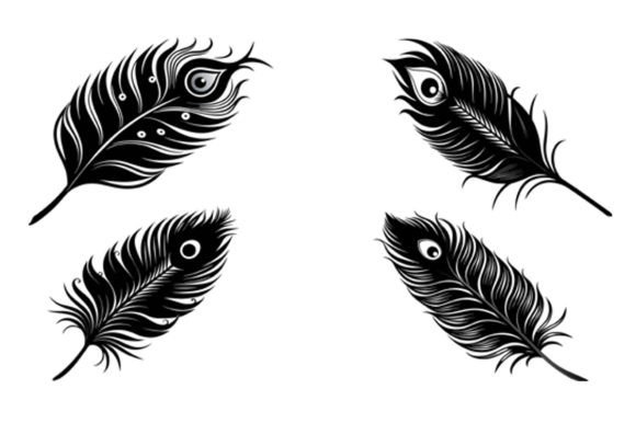 Download Peacock Feather Vector Design. - Vector design Collection